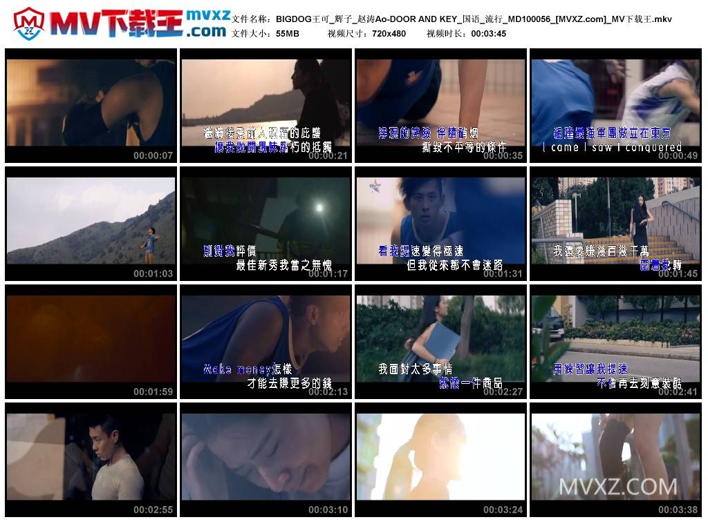 BIGDOG王可_辉子_赵涛Ao-DOOR AND KEY_国语_流行_MD100056